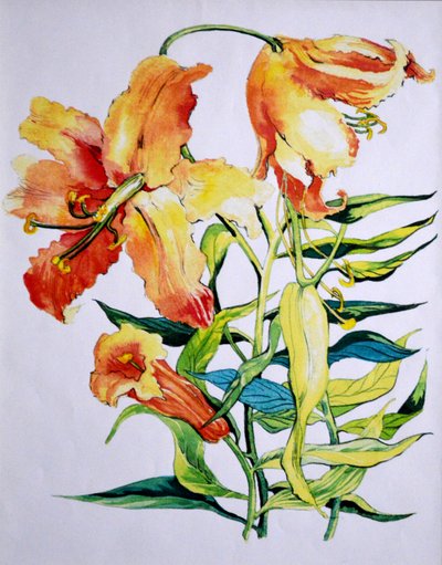 Orange Lilies 1,1985 af Unbekannt Unbekannt